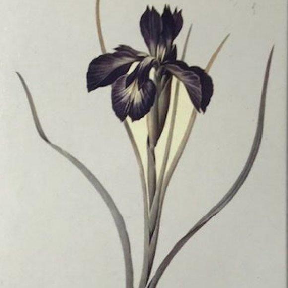 Set of 3 Hardcover Journals - Green Appointments, Cream Flower, Wine Fantasies - Picture 9 of 16